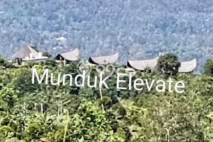 Tanah Dijual Area Strategis di Munduk Buleleng 5000m2 Tanah Dijual Area Strategis di Munduk Buleleng 5000m2