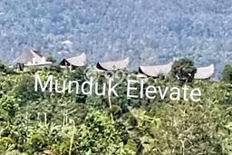 Tanah Dijual Area Strategis di Munduk Buleleng 5000m2 Tanah Dijual Area Strategis di Munduk Buleleng 5000m2