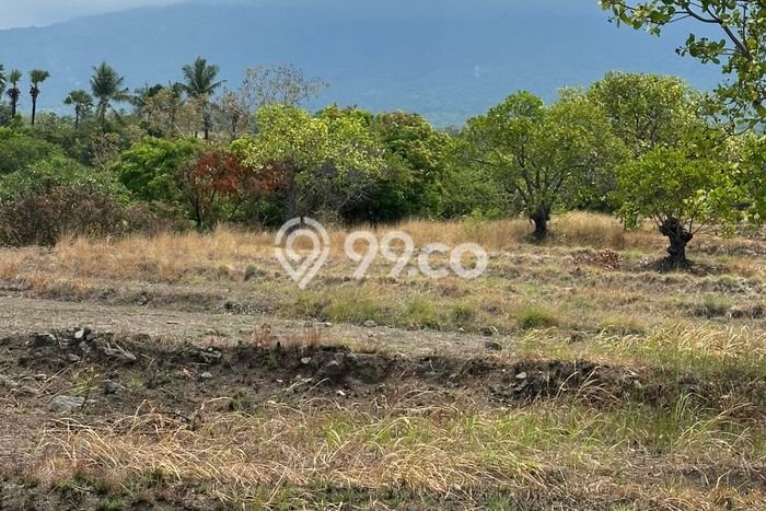 Tanah Dijual Area Strategis di Pecatu Badung 15000m2 Tanah Dijual Area Strategis di Pecatu Badung 15000m2