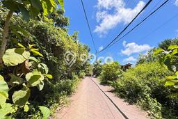 Tanah Dijual Area Strategis di Ungasan Badung 1000m2 Tanah Dijual Area Strategis di Ungasan Badung 1000m2