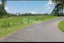 Kavling Tanah untuk Dijual di Petak Kaja, Gianyar, Luas 200m2 Kavling Tanah untuk Dijual di Petak Kaja, Gianyar, Luas 200m2