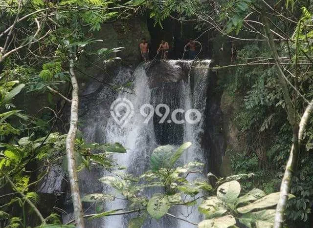 Kavling Tanah di Payangan Dijual Luas 18000m2 Legalitas SHM Kavling Tanah di Payangan Dijual Luas 18000m2 Legalitas SHM