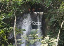 Kavling Tanah di Ubud Dijual Luas 18000m2 Legalitas SHM Kavling Tanah di Ubud Dijual Luas 18000m2 Legalitas SHM