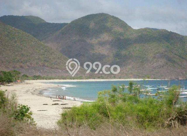 Tanah Dijual Lokasi Sumbawa, Sumbawa Luas 180000m2 Legalitas Aman Tanah Dijual Lokasi Sumbawa, Sumbawa Luas 180000m2 Legalitas Aman