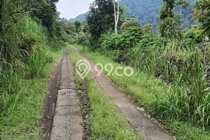 Untuk Dijual Tanah di Buleleng, Luas 2000m2 SHM Untuk Dijual Tanah di Buleleng, Luas 2000m2 SHM