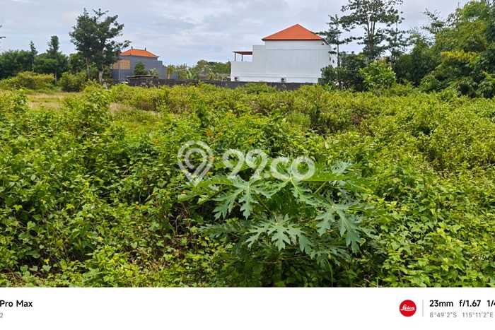 Tanah Kavling Dijual di Nusa Dua, Badung dengan Luas Tanah 580m2 Tanah Kavling Dijual di Nusa Dua, Badung dengan Luas Tanah 580m2