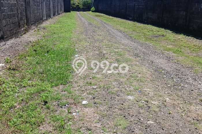 Tanah Kavling Dijual di Badung dengan Spesifikasi 256m2 Tanah Kavling Dijual di Badung dengan Spesifikasi 256m2