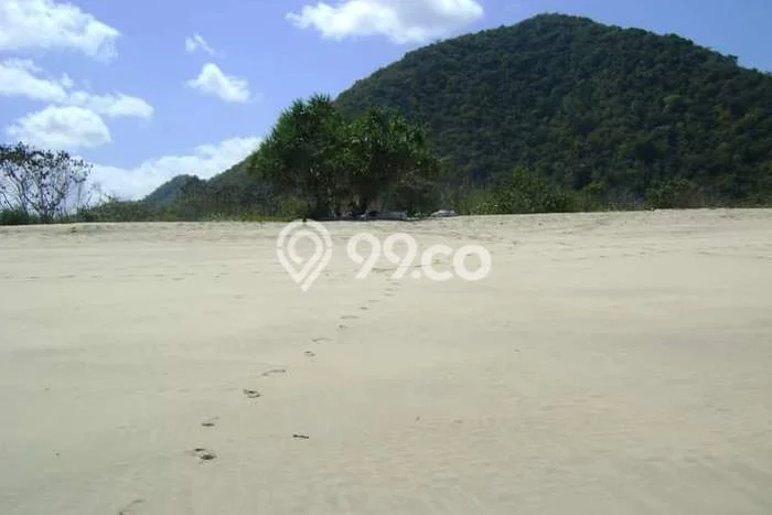 Tanah Dijual Lokasi Sumbawa, Sumbawa Luas 180000m2 Legalitas Aman Tanah Dijual Lokasi Sumbawa, Sumbawa Luas 180000m2 Legalitas Aman