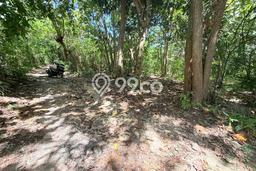 Tanah Dijual Area Strategis di Kutuh Badung 22900m2 Tanah Dijual Area Strategis di Kutuh Badung 22900m2
