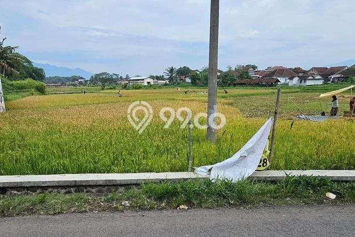 Tanah Dijual Lokasi Mangkubumi Tasikmalaya - Tanah Dijual Lokasi Mangkubumi Tasikmalaya -