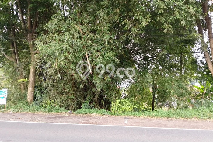Untuk Dijual Tanah di Ciawi Tasikmalaya Luas 2597m2 SHM Untuk Dijual Tanah di Ciawi Tasikmalaya Luas 2597m2 SHM