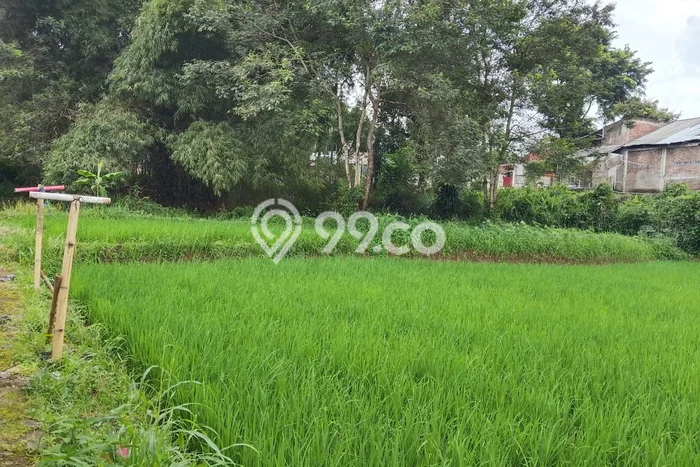 Untuk Dijual Tanah di Ciawi Tasikmalaya Luas 2597m2 SHM Untuk Dijual Tanah di Ciawi Tasikmalaya Luas 2597m2 SHM