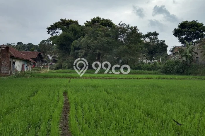Untuk Dijual Tanah di Ciawi Tasikmalaya Luas 2597m2 SHM Untuk Dijual Tanah di Ciawi Tasikmalaya Luas 2597m2 SHM