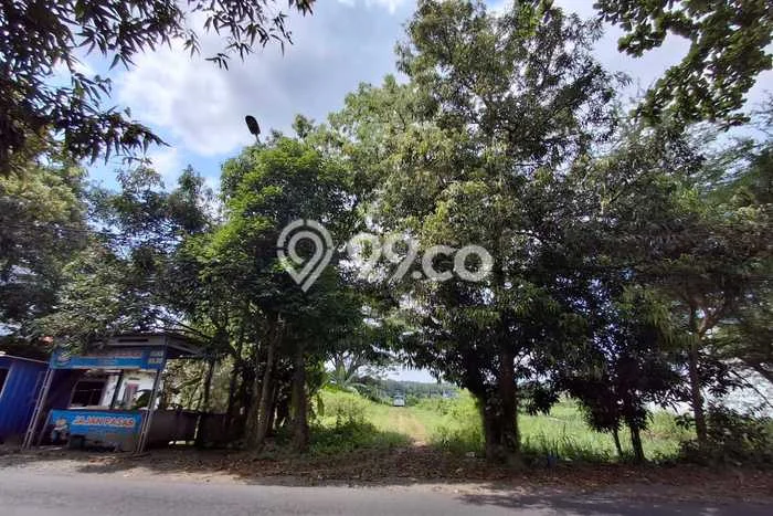 Lahan Investasi Lokasi Pengasih Kulon Progo SHM Lahan Investasi Lokasi Pengasih Kulon Progo SHM