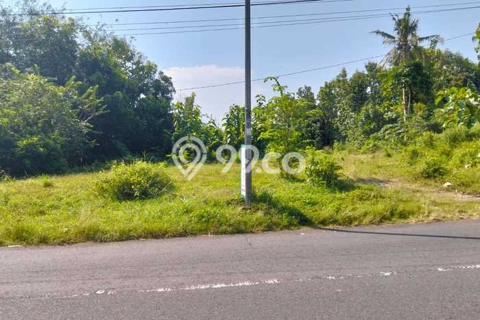 Tanah Kosong Dijual di Sleman dengan Area 2155m2 Tanah Kosong Dijual di Sleman dengan Area 2155m2