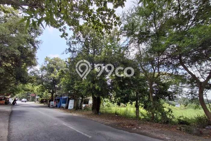 Lahan Investasi Lokasi Pengasih Kulon Progo SHM Lahan Investasi Lokasi Pengasih Kulon Progo SHM