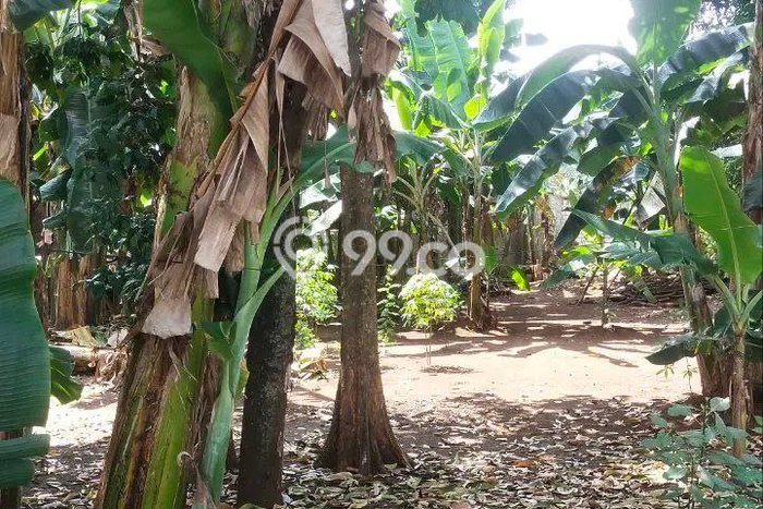 Kavling Tanah untuk Dijual di Jati Asih, Bekasi, Luas 637m2 Kavling Tanah untuk Dijual di Jati Asih, Bekasi, Luas 637m2