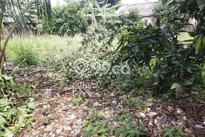 Dijual Tanah Lokasi Gatot Subroto, Jakarta Selatan Seluas 614m2 Dijual Tanah Lokasi Gatot Subroto, Jakarta Selatan Seluas 614m2