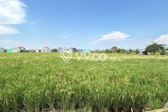 Tanah Dijual Lokasi Sedati, Sidoarjo Luas 72m2 Legalitas Aman Tanah Dijual Lokasi Sedati, Sidoarjo Luas 72m2 Legalitas Aman