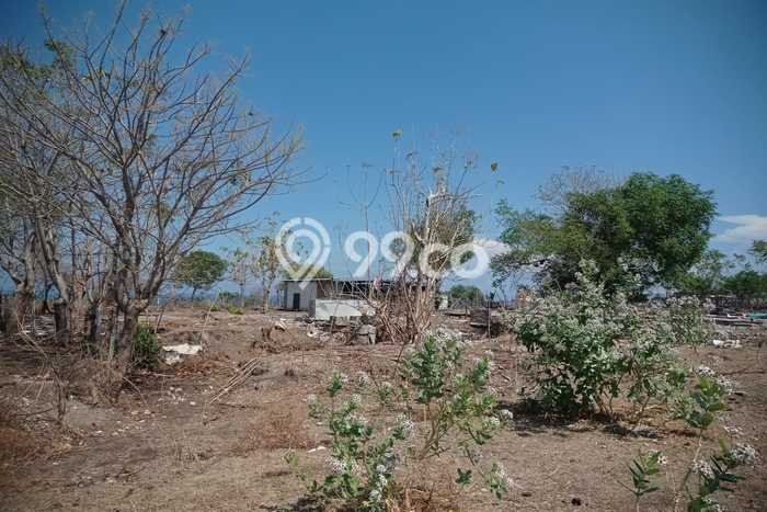 Jarang Ada! Tanah di Sumbawa Punya Luas 9467m2 SHM Jarang Ada! Tanah di Sumbawa Punya Luas 9467m2 SHM