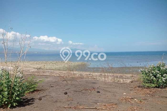 Jarang Ada! Tanah di Sumbawa Punya Luas 9467m2 SHM Jarang Ada! Tanah di Sumbawa Punya Luas 9467m2 SHM