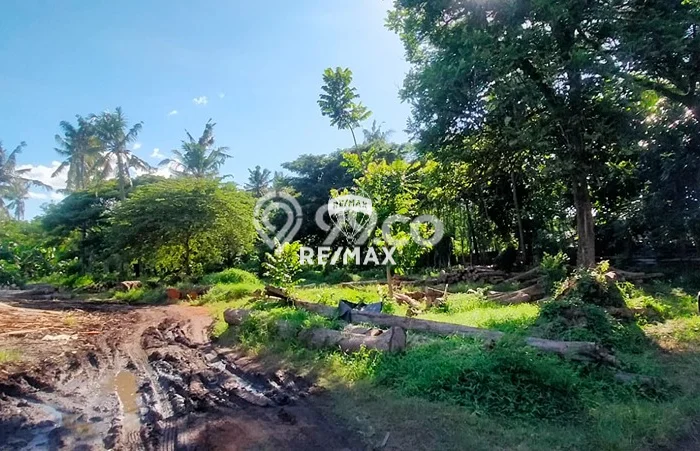 Jarang Ada! Tanah di Banyuwangi Punya Luas 11000m2 SHM Jarang Ada! Tanah di Banyuwangi Punya Luas 11000m2 SHM