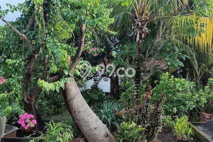 Tanah Kavling untuk Dijual di Sukasada Buleleng 5700m2 Tanah Kavling untuk Dijual di Sukasada Buleleng 5700m2