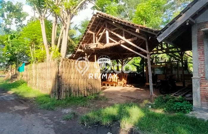 Jarang Ada! Tanah di Banyuwangi Punya Luas 11000m2 SHM Jarang Ada! Tanah di Banyuwangi Punya Luas 11000m2 SHM