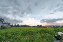 Tanah untuk Dijual Lokasi Banyuwangi, Banyuwangi Luas 70000m2 SHM Tanah untuk Dijual Lokasi Banyuwangi, Banyuwangi Luas 70000m2 SHM