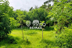 Lahan Kosong Dijual di Kalipuro, Banyuwangi, Luas 570m2 Area Strategis Lahan Kosong Dijual di Kalipuro, Banyuwangi, Luas 570m2 Area Strategis