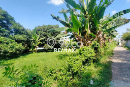 Tanah Dijual Lokasi Banyuwangi, Banyuwangi Luas 1027m2 Legalitas Aman Tanah Dijual Lokasi Banyuwangi, Banyuwangi Luas 1027m2 Legalitas Aman