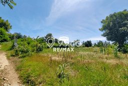 Tanah Kavling untuk Dijual di Wongsorejo Banyuwangi 44000m2 Tanah Kavling untuk Dijual di Wongsorejo Banyuwangi 44000m2