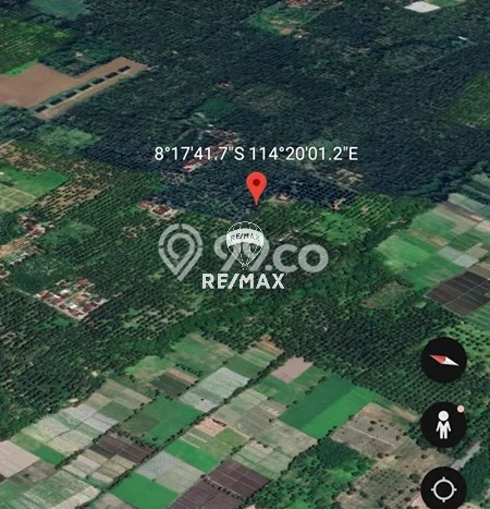 Tanah untuk Dijual Lokasi Kabat, Banyuwangi Luas 30000m2 SHM Tanah untuk Dijual Lokasi Kabat, Banyuwangi Luas 30000m2 SHM