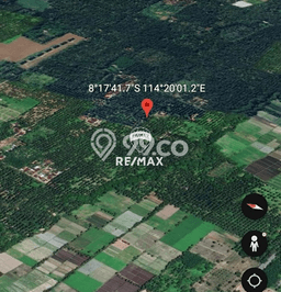 Tanah untuk Dijual Lokasi Kabat, Banyuwangi Luas 30000m2 SHM Tanah untuk Dijual Lokasi Kabat, Banyuwangi Luas 30000m2 SHM