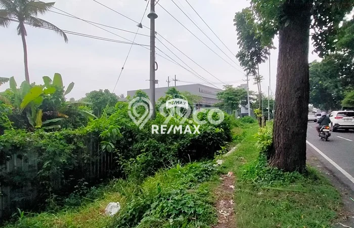 Tanah di Kabat, Banyuwangi Luas 28000m2 Dijual Segera Tanah di Kabat, Banyuwangi Luas 28000m2 Dijual Segera