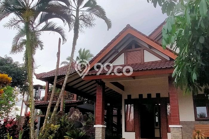 Miliki sekarang Vila Kawasan Banyuwangi, Dimensi 1256m2m², Akses ke transportasi Miliki sekarang Vila Kawasan Banyuwangi, Dimensi 1256m2m², Akses ke transportasi