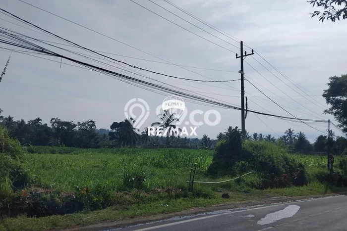 Tanah Komersial Dijual di Licin Banyuwangi 10823m2 Tanah Komersial Dijual di Licin Banyuwangi 10823m2