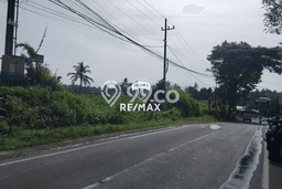 Tanah Komersial Dijual di Licin Banyuwangi 10823m2 Tanah Komersial Dijual di Licin Banyuwangi 10823m2
