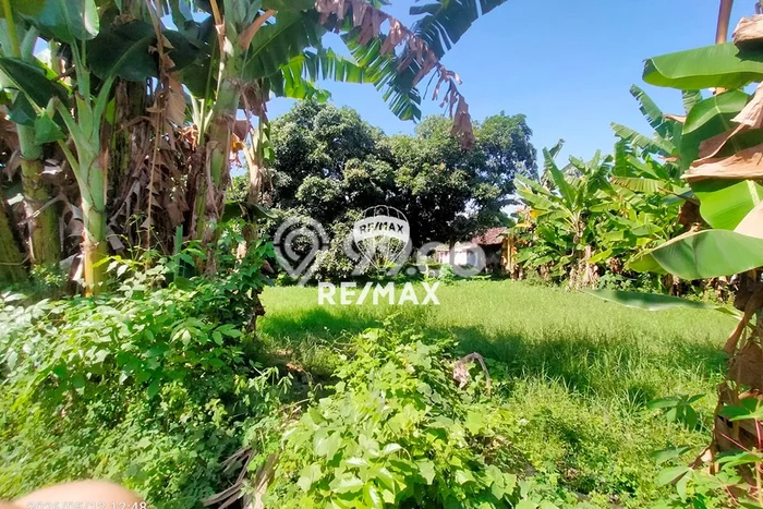 Tanah Dijual Lokasi Banyuwangi, Banyuwangi Luas 1027m2 Legalitas Aman Tanah Dijual Lokasi Banyuwangi, Banyuwangi Luas 1027m2 Legalitas Aman