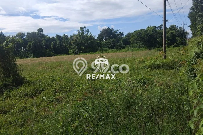 Tanah untuk Dijual Lokasi Kabat, Banyuwangi Luas 22638m2 SHM Tanah untuk Dijual Lokasi Kabat, Banyuwangi Luas 22638m2 SHM