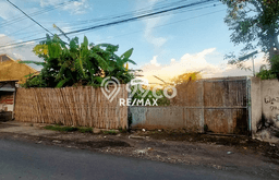 Untuk Dijual Tanah di Banyuwangi Banyuwangi Luas 4824m2 SHM Untuk Dijual Tanah di Banyuwangi Banyuwangi Luas 4824m2 SHM