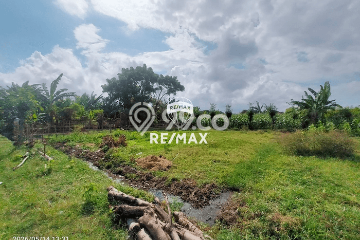 Lahan Investasi Lokasi Banyuwangi Banyuwangi SHM Lahan Investasi Lokasi Banyuwangi Banyuwangi SHM