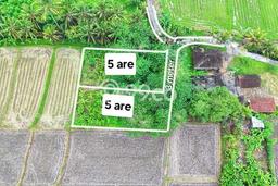 Tanah di Ubud, Gianyar Luas 500m2 Dijual Segera Tanah di Ubud, Gianyar Luas 500m2 Dijual Segera
