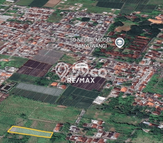 Lahan Investasi Lokasi Banyuwangi Banyuwangi SHM Lahan Investasi Lokasi Banyuwangi Banyuwangi SHM