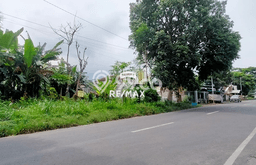 Kavling Tanah Dijual di Kalipuro Banyuwangi Spesifikasi 704m2 Kavling Tanah Dijual di Kalipuro Banyuwangi Spesifikasi 704m2