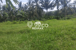 Tanah Dijual Lokasi Glagah Banyuwangi SHM Tanah Dijual Lokasi Glagah Banyuwangi SHM