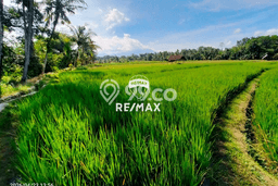 Tanah Kosong Dijual di Banyuwangi dengan Area 3628m2 Tanah Kosong Dijual di Banyuwangi dengan Area 3628m2