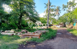 Jarang Ada! Tanah di Banyuwangi Punya Luas 11000m2 SHM Jarang Ada! Tanah di Banyuwangi Punya Luas 11000m2 SHM