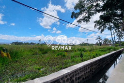 Lahan untuk Dijual Lokasi Banyuwangi, Banyuwangi Luas 4300m2 - Lahan untuk Dijual Lokasi Banyuwangi, Banyuwangi Luas 4300m2 -