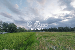 Tanah Kavling di Banyuwangi Dijual dengan Luas 30000m2 Tanah Kavling di Banyuwangi Dijual dengan Luas 30000m2